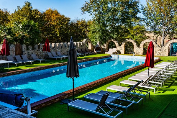 Créer un Écosystème Végétal d'Intérieur : L'Art de l'Upcycling à Votre Service