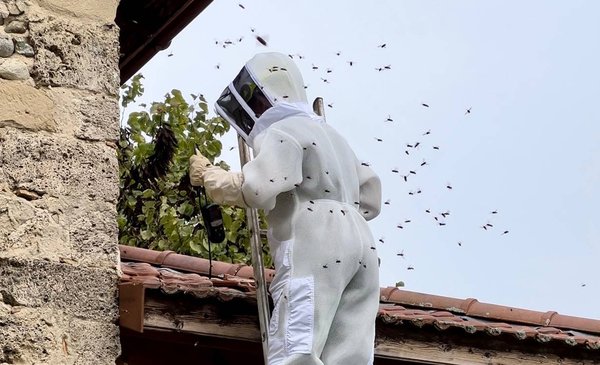 Votre expert anti nuisibles vaucluse : des solutions sur mesure